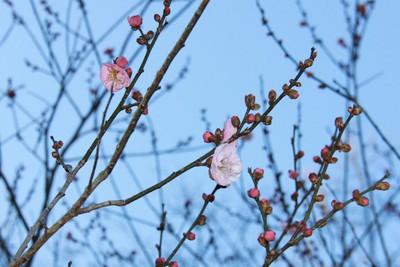 20110102_01.jpg